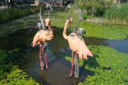 Animals (4)