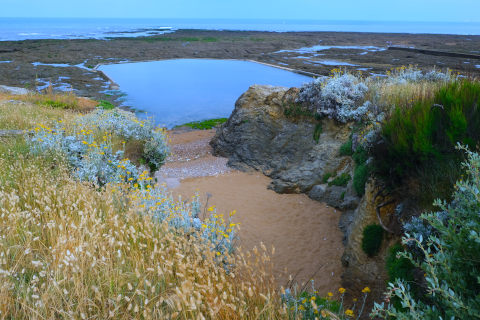 Randonnée cotière à Saint-Hilaire-de-Riez
