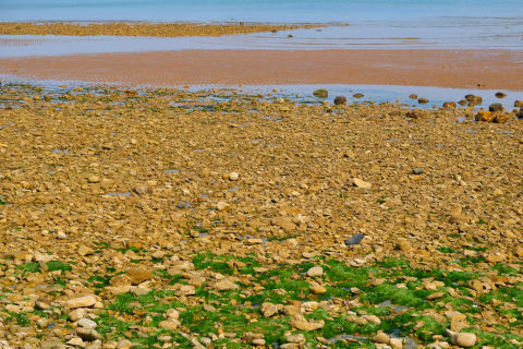 Plage de Saint-Vincent-sur-Jard